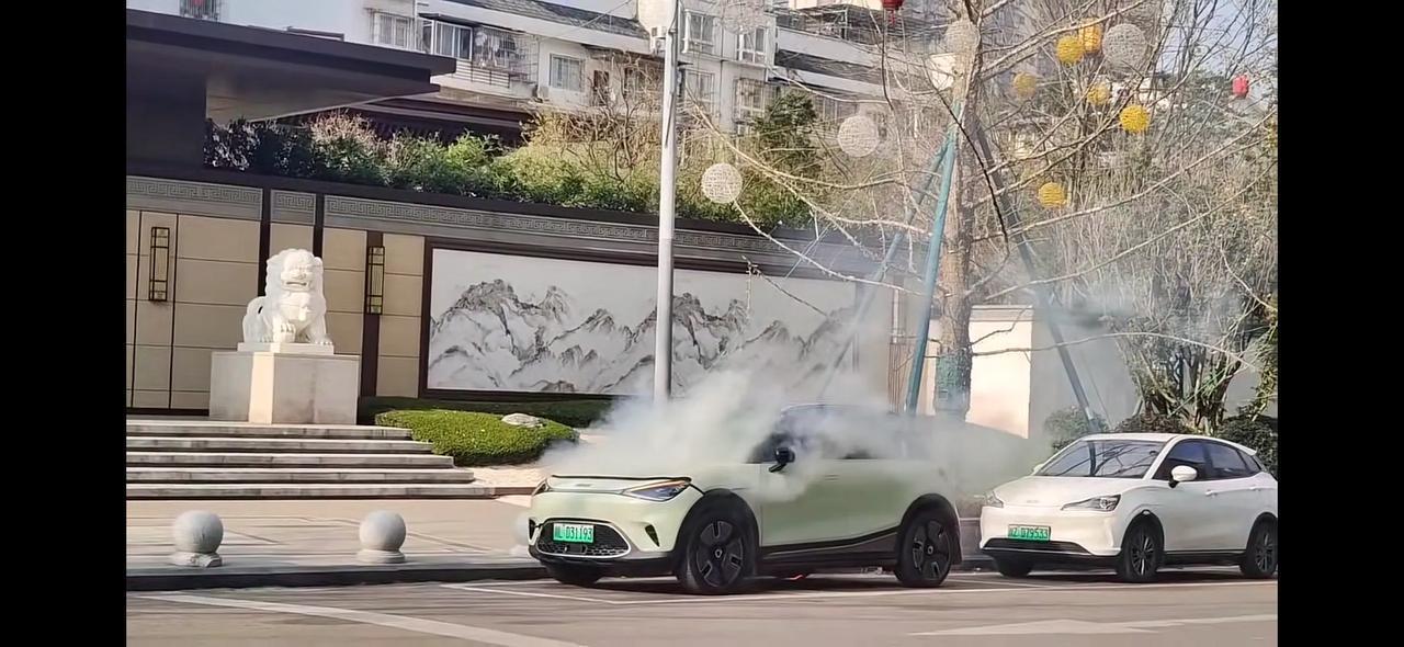 不知啥原因，一辆停放在停车点位上的smart精灵1号突发自燃……