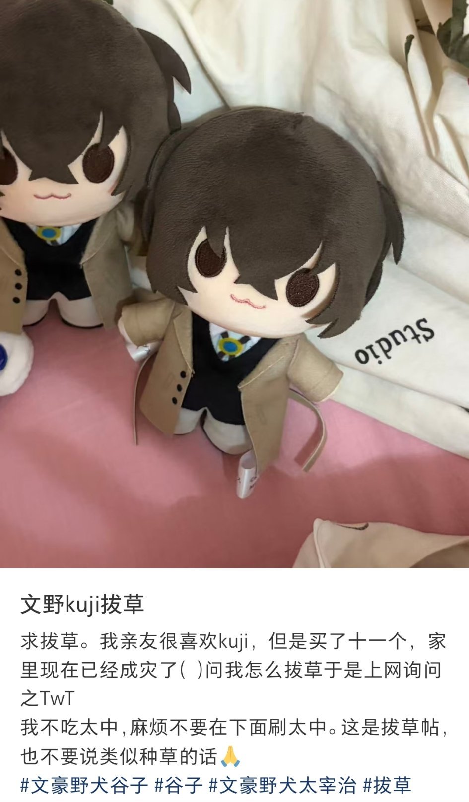 我本来想说kuji那么可爱为什么要拔草(´ཫ`)一看已经买了十一个，那确实得戒了