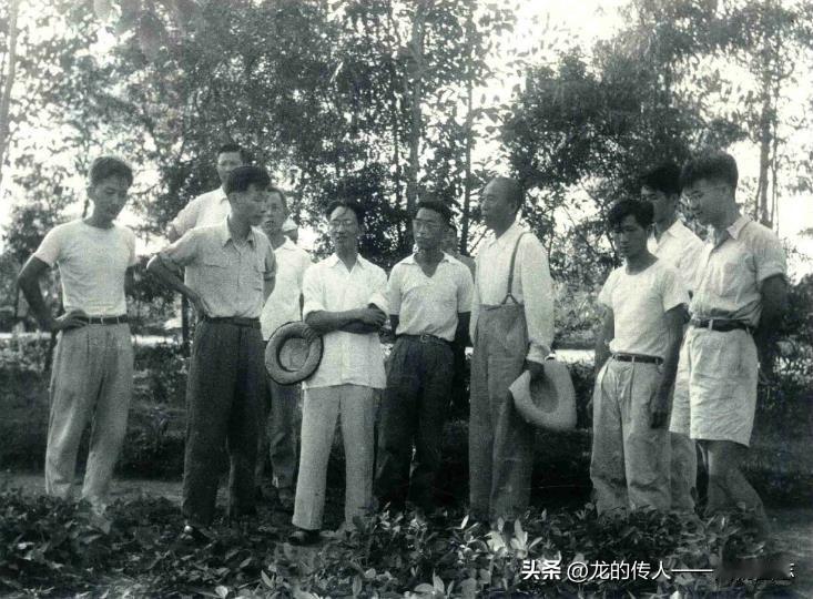 1961年,王震和华南热带作物研究院专家商讨海南发展橡胶生产问题。