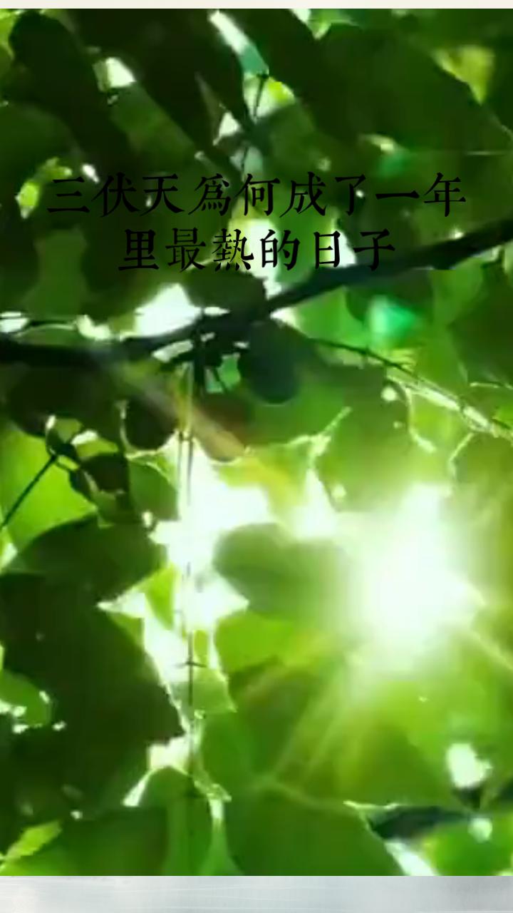 三伏天，为何成了一年里最热的日子
刚入七月，风就像裹着一层化不开的热浪，连路边的