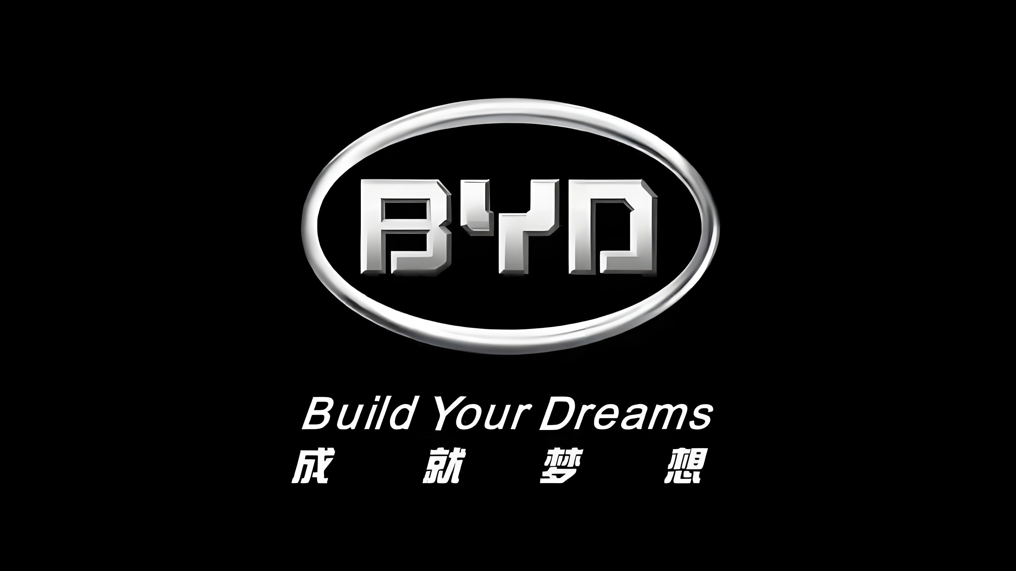 比亚迪APP改名投票后保留原名原名就是最好的，成就梦想是企业的核心价值观，确实不