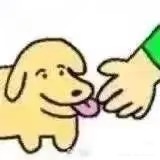 唐奥马与我 ​​​
