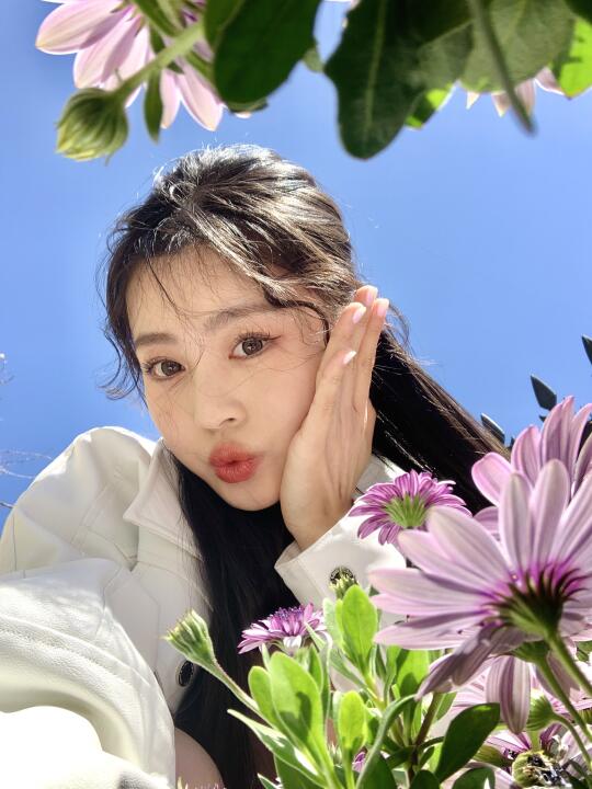 春天绝美live图🌸（春合集