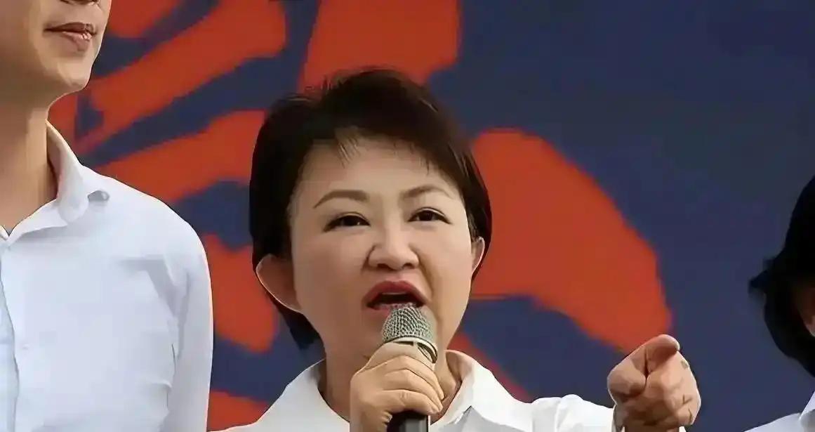 蓝营暗中布局2028大位，各路大佬心思藏不住

2028大选的椅子还空着，国民党