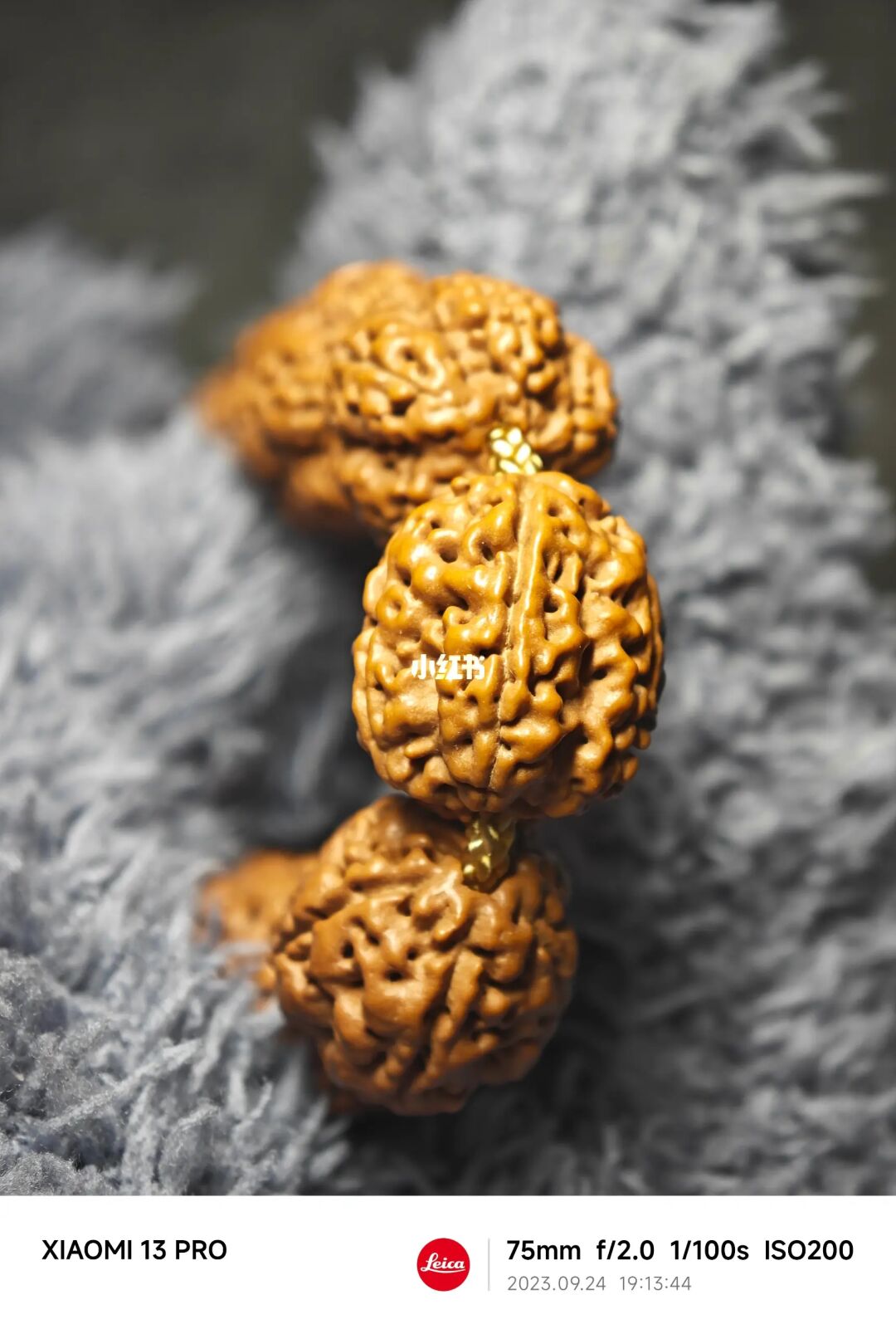 NO.267 教练！我想玩麦穗！