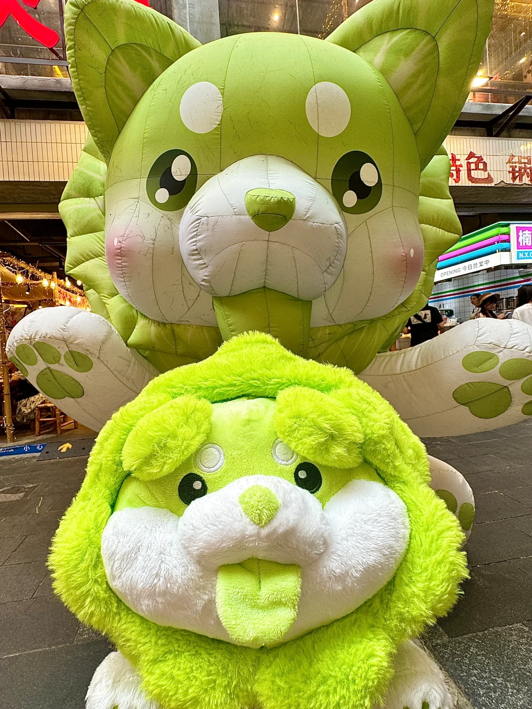 家人们！谁懂？？春熙路吃火锅得菜狗！！！