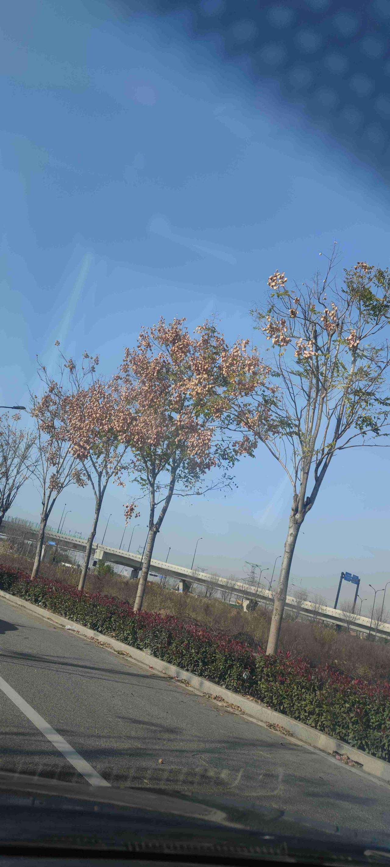 我的今日状态：💰期待暴富
我这里的天气：☀️晴天