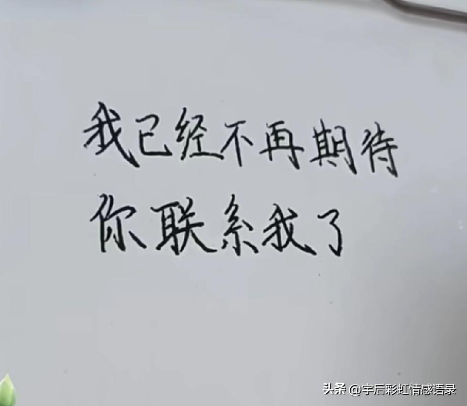 我已经不再期待你联系我了
我也不再纠结
你还爱不爱我
或许我还没有真的放下你
但