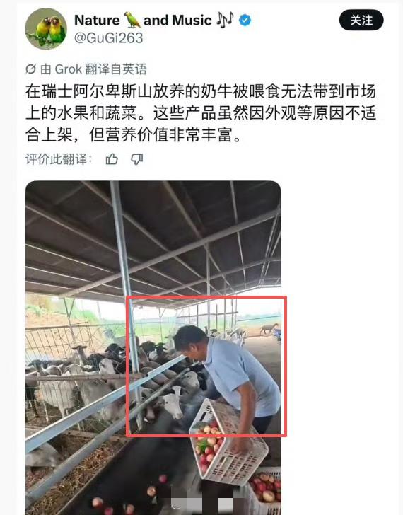 越南韩国偷中国的短视频素材就算了，你瑞士也偷？[吐舌] ​​​​韩国偷文化翻车 