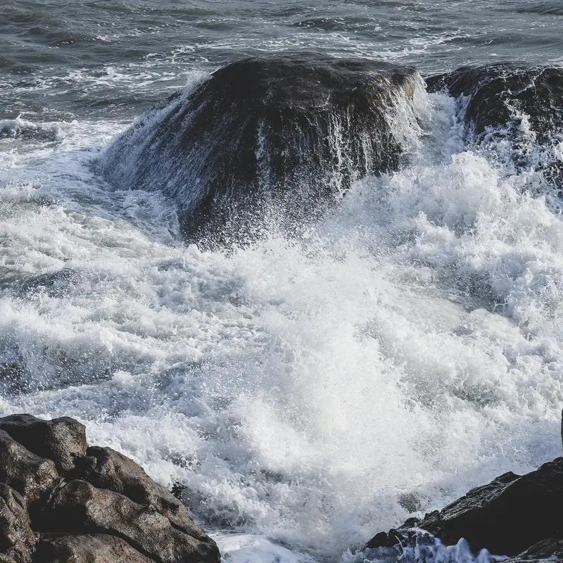 上联：浪腾千尺不离海
下联：孙传万代总有根                   