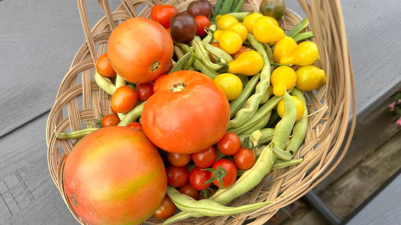 天气给力，每天都有收获，早安🌹