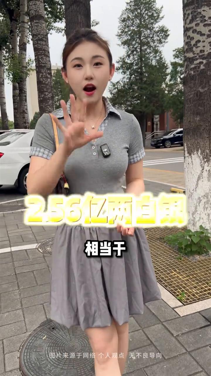 大清年往后那些不可一世的北京王爷都去哪了？都说破船还有三千钉，瘦死的骆驼比马大。