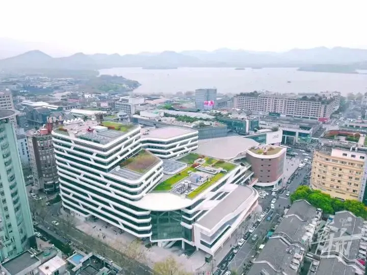 王思聪入局杭州湖滨商圈，造了一幢酒吧楼