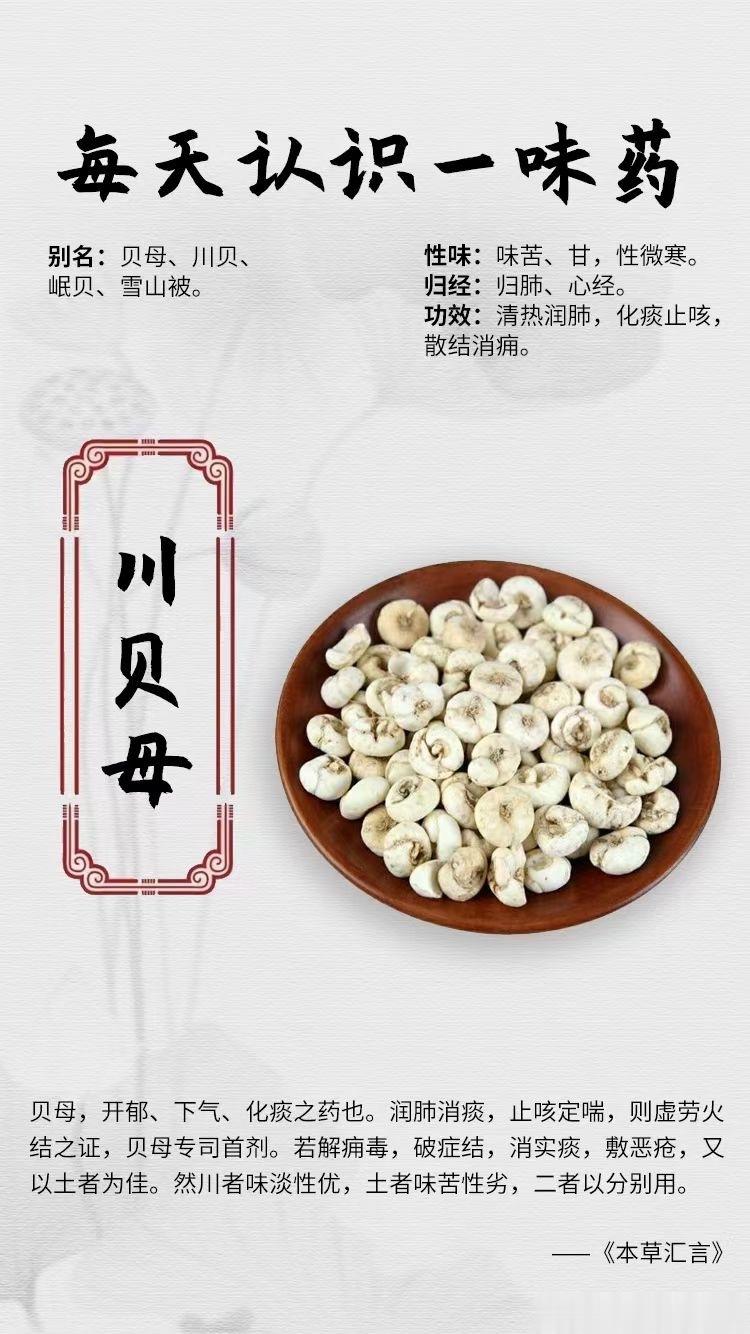 #国医的精诚力量##每天一味中草药##论道岐黄# ☘️【每天认识一味药】[鲜花]