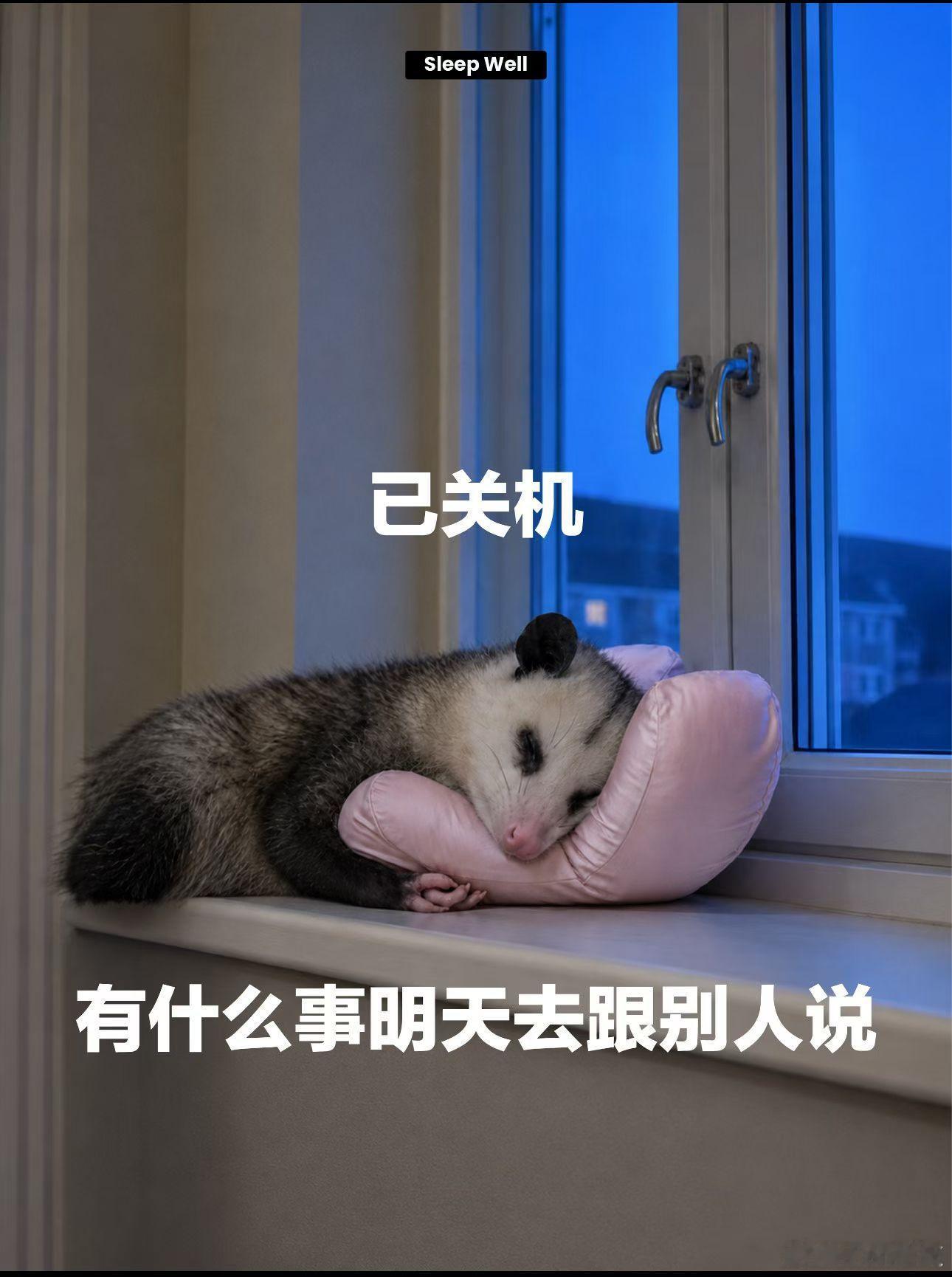 成年人的辞职理由变了现在的年轻人真的有点脆皮上不如老人下不如小孩一入职场就一身毛