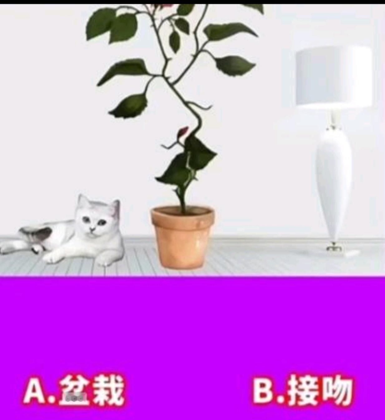 〔大美新疆我来了〕
新疆的地形是：三山夹两盆（阿尔泰山在新疆最北部，天山 在中部