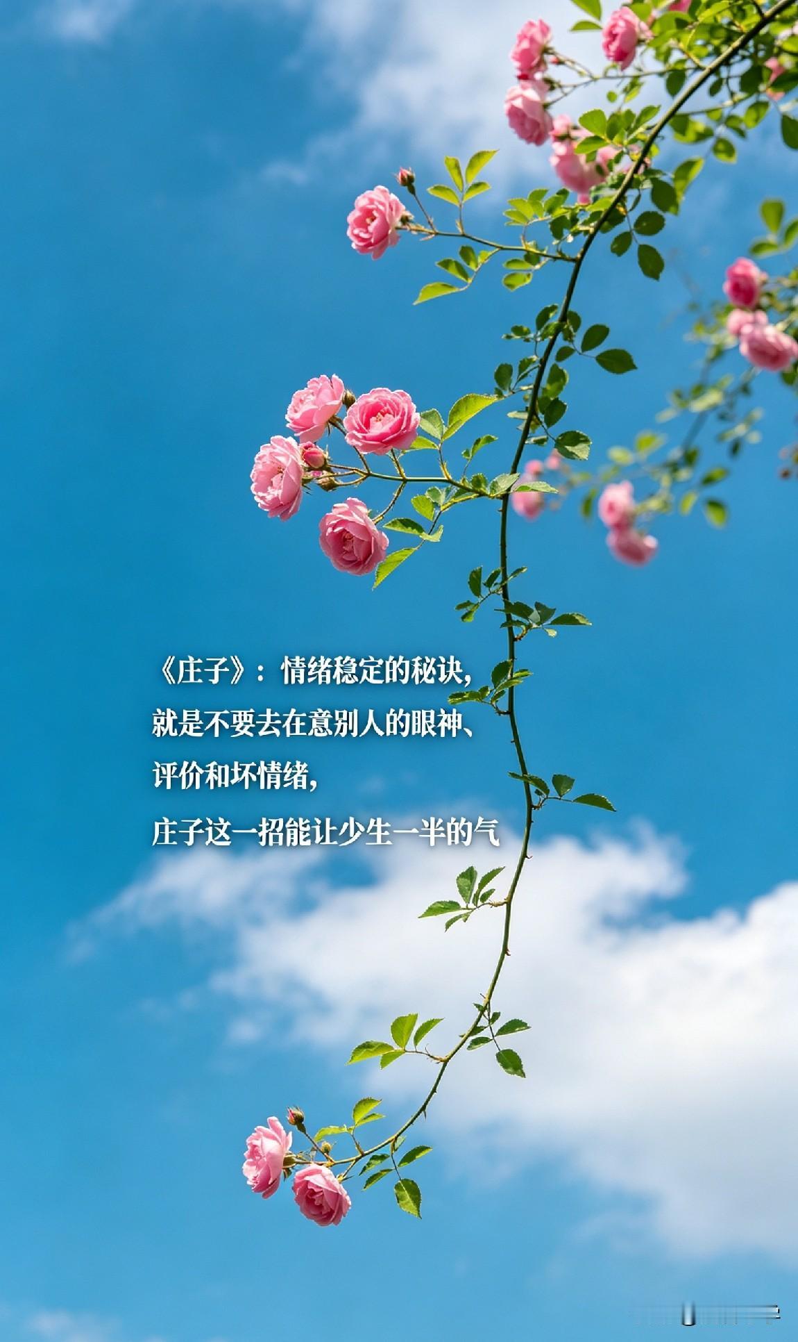《庄子》：情绪稳定的秘诀，就是不要去在意别人的眼神、评价和坏情绪，庄子这一招能让