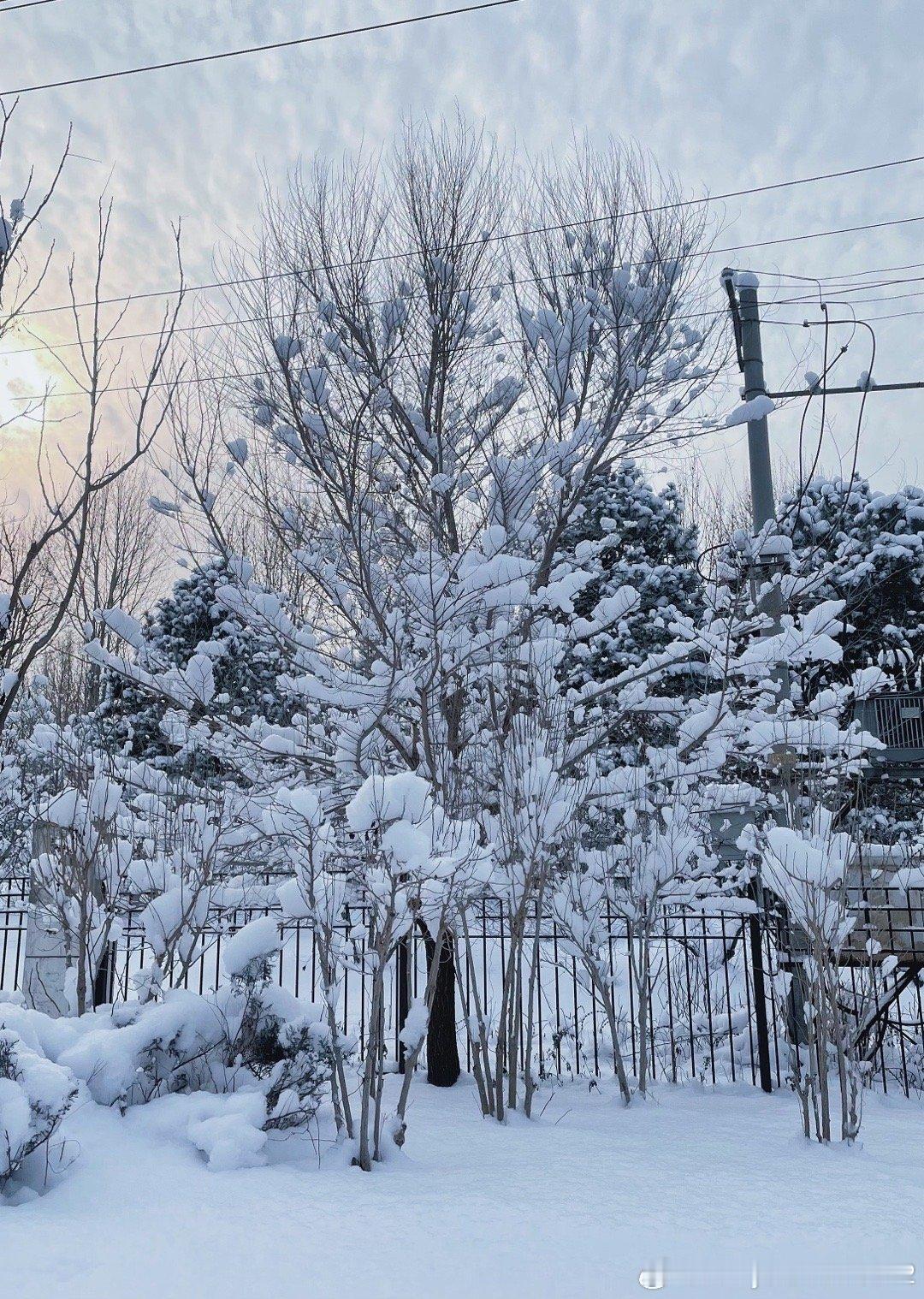 哇喔…好喜欢这种下雪的天气啊！可以去玩雪，堆雪人☃️打雪仗！可惜只是羡慕一下就行