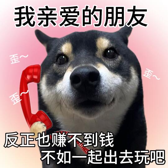 表情包|周末就要粗来玩啊😌