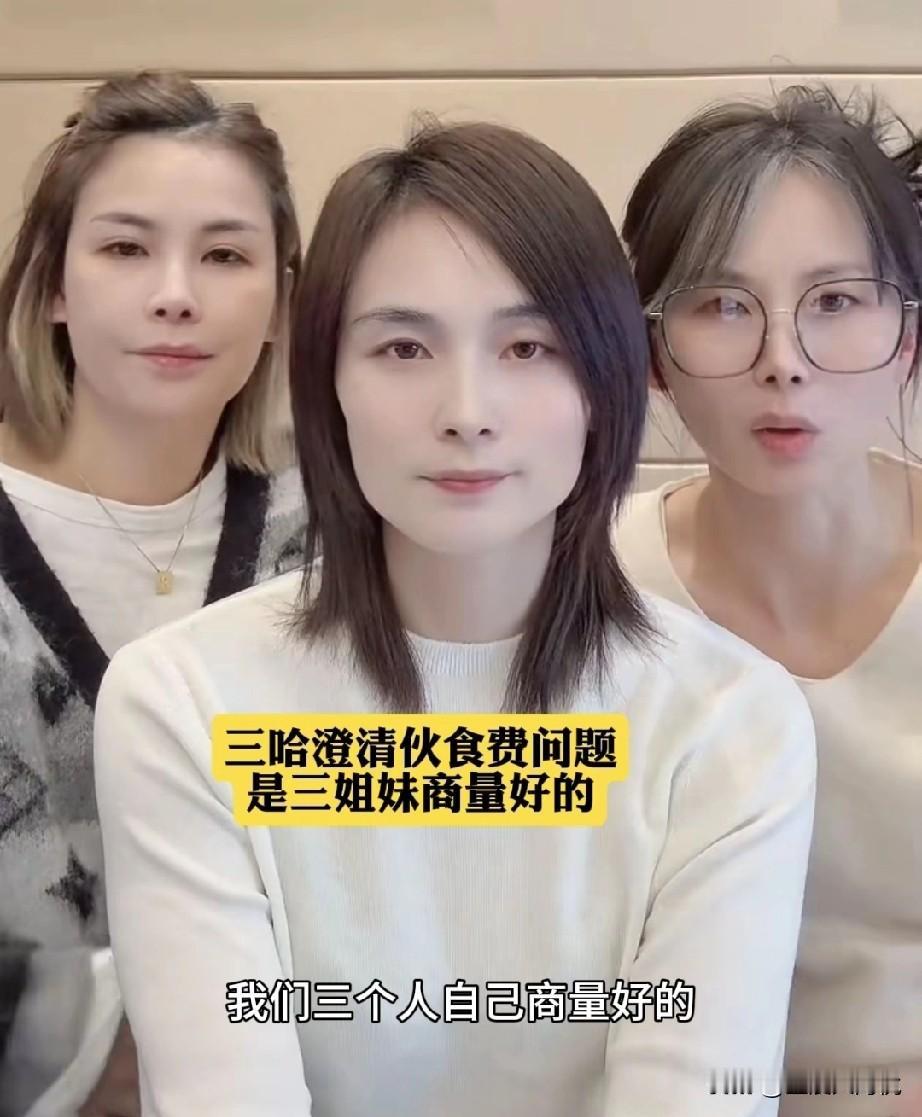 看到一位网友说：是因为被网暴了，所以才又合体出来解释的，其实是真的感情也出问题了