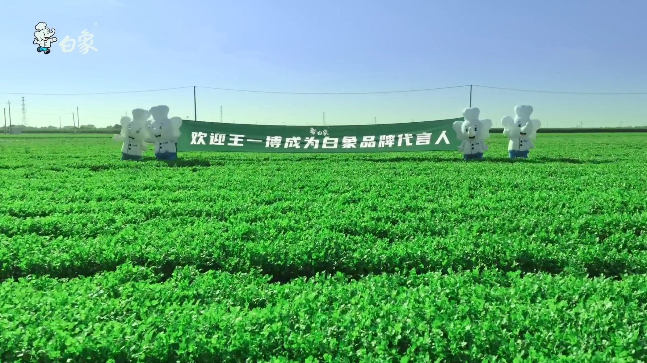 怎么会有人表达爱意的方式是种地啊！白象我承认你是河南第一霸总了王一博白象品牌代言