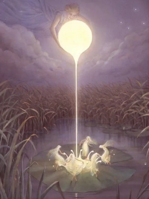 愿你欢乐的时刻永远不受哪怕一瞬间痛苦的干扰。 	 ˚  ٠ ࣪⭑ 	 ...