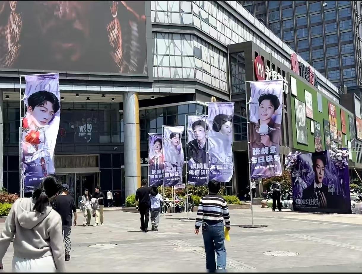 张晚意音乐节人气 走进现场就能被这份热情打动 嘉善音乐节上紫色应援气势十足 粉丝