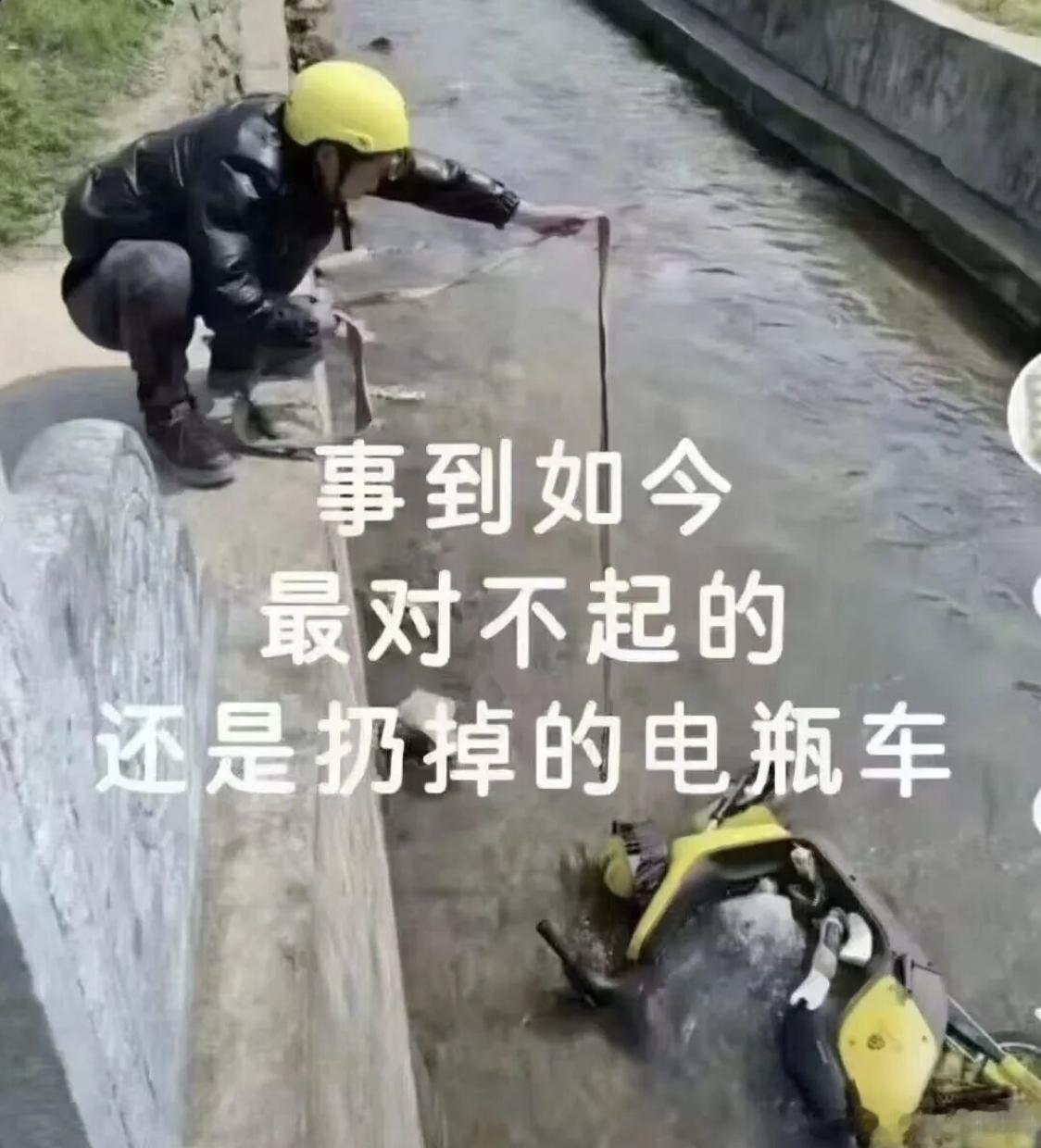 问：群友怎么都不说话了？答：都在忙着抢单呢。 