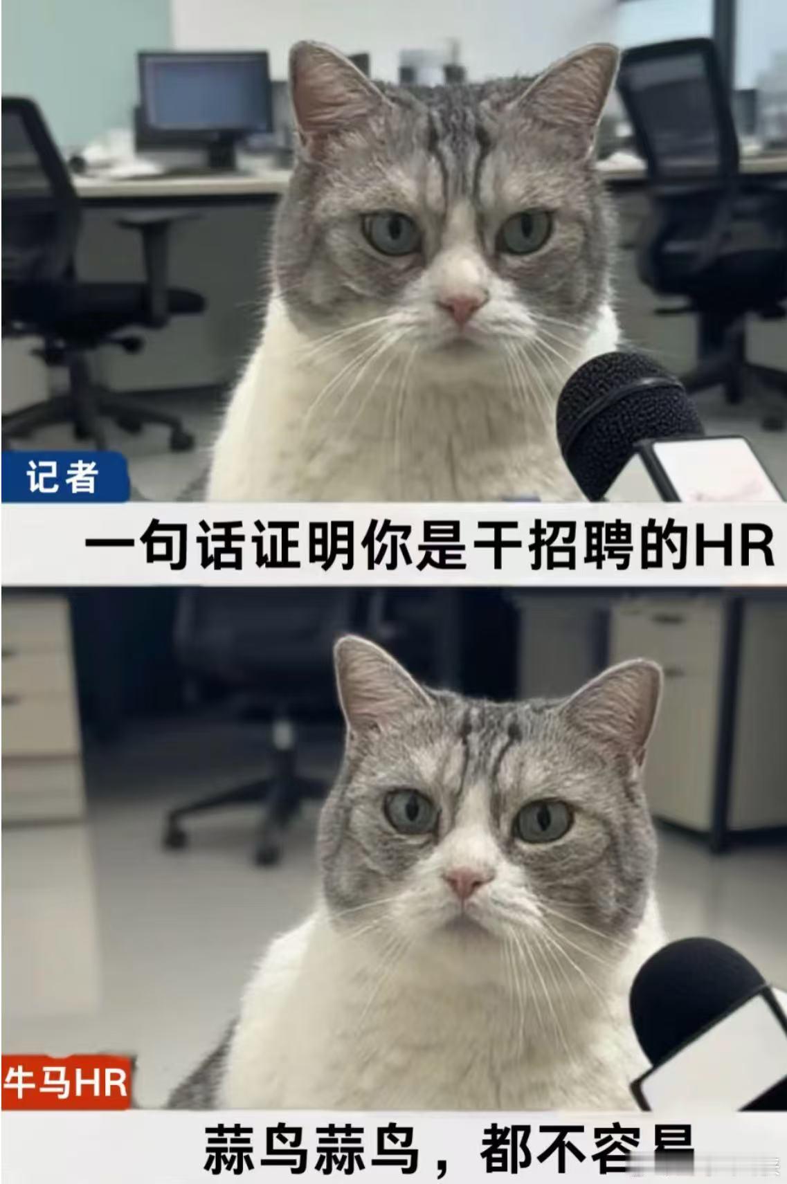 终于有人为HR发声了 只有亲身做过HR才懂，费力不讨好是常态，好事没人记得，出了