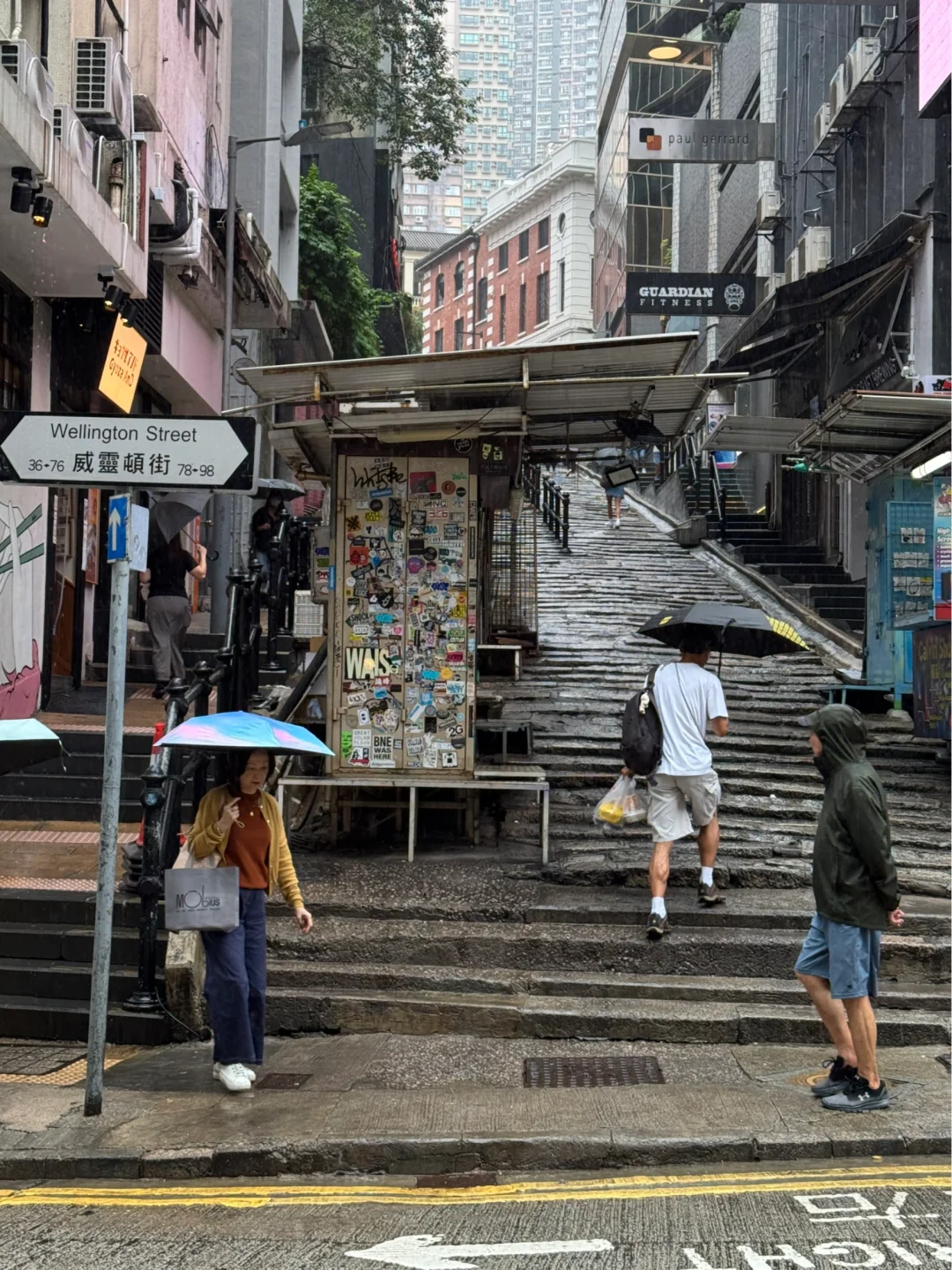 观察｜24年我眼中的香港 🇭🇰