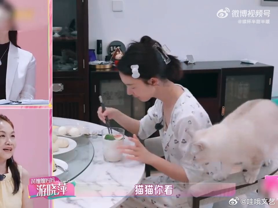 陈瑶怎么把小猫养得这么乖的我家那闺女果然主人什么样猫咪就什么样，陈瑶性子安静温柔