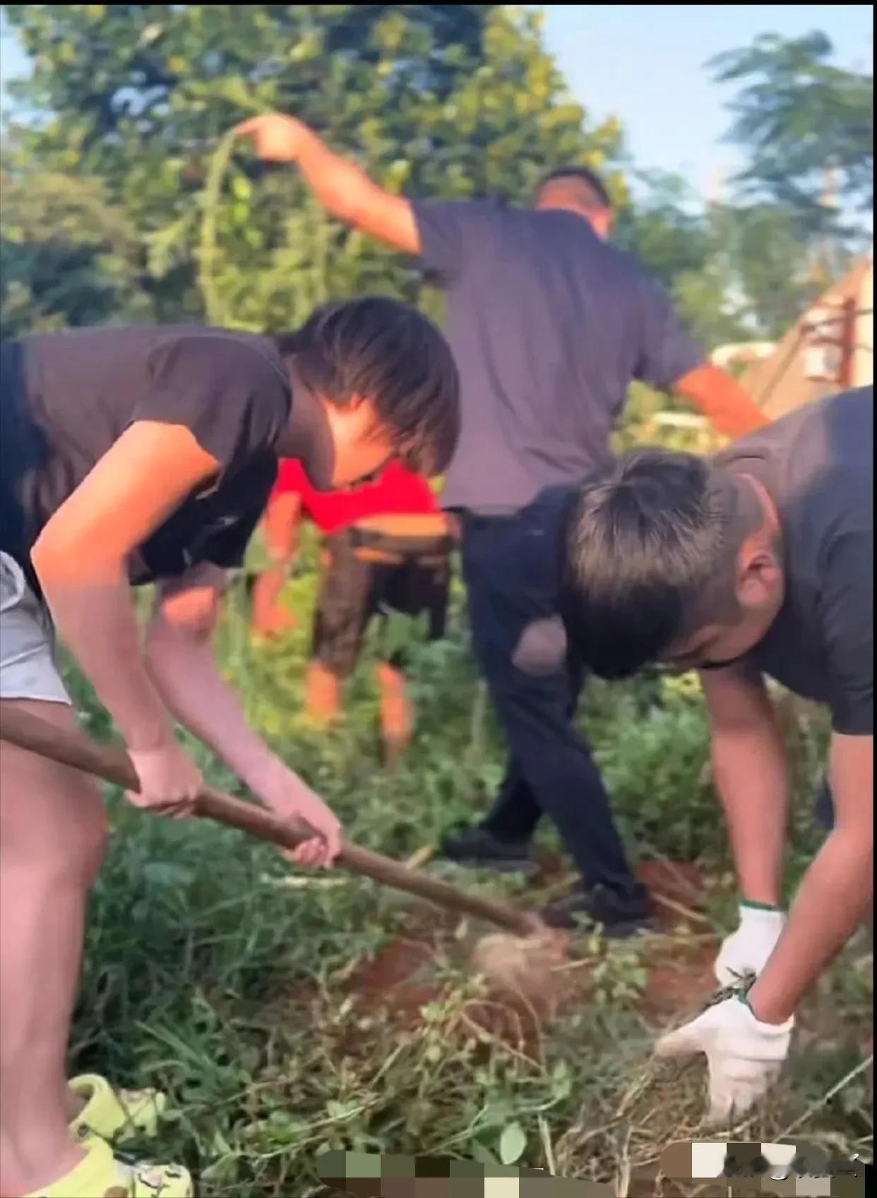 全红婵又回老家迈合村
这三点我是佩服的

1、国庆假期，全红婵没有去哪玩，只想回