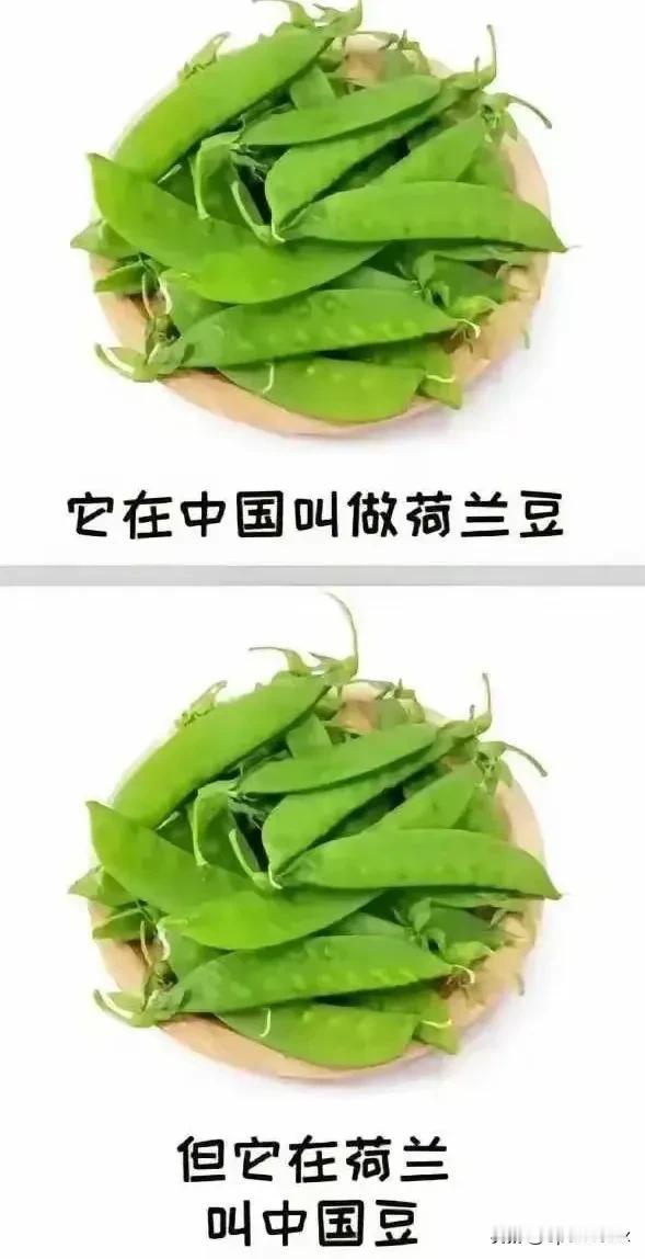 荷兰豆哈哈哈哈