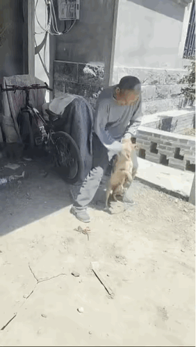 事实证明，不打不成器。
