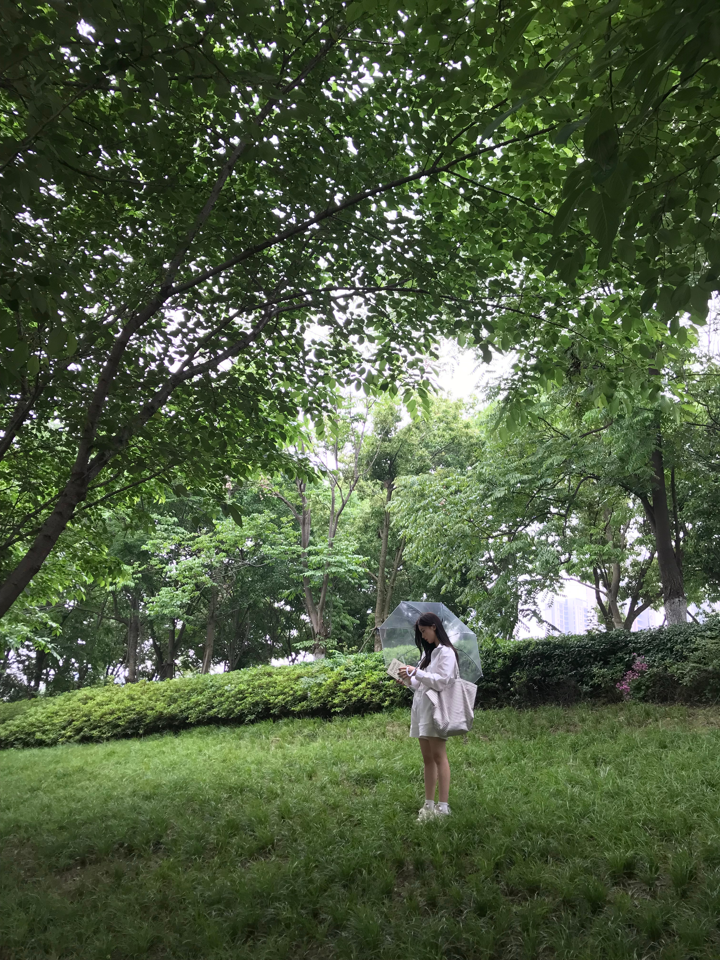 叶子🍃 