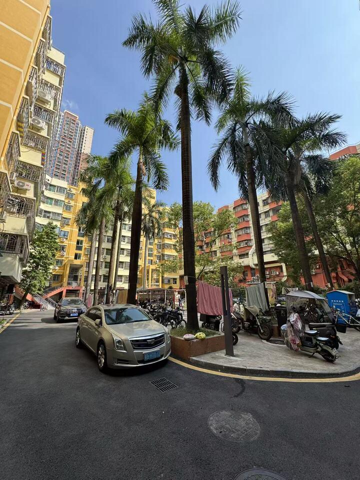 住在宝湖居是什么感受？[奋斗]来这套好房体验一下！
深圳新安宝湖居日常出行购物都