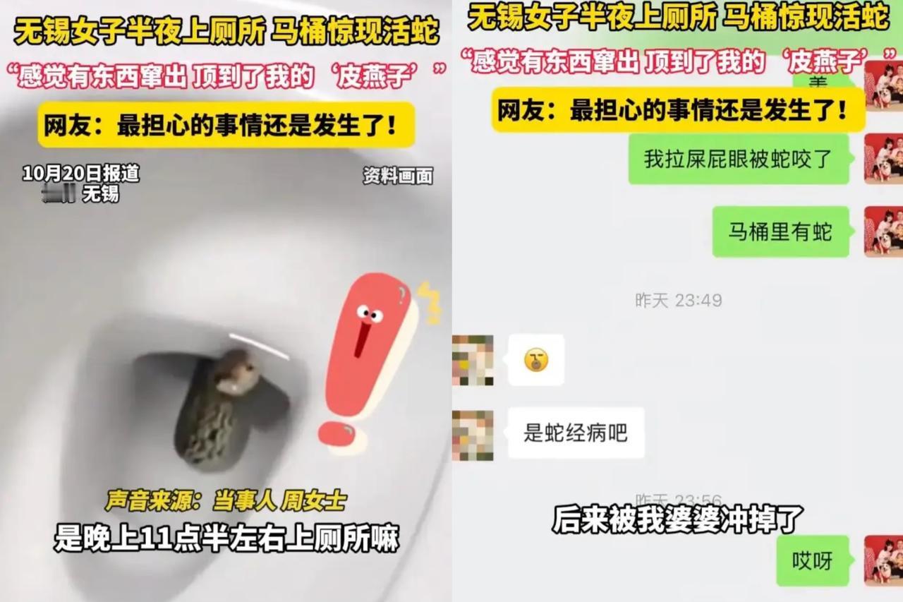 江苏一女子半夜上厕所，突然感觉下面有东西伸出来，顶到了皮燕子，女子还以为是纸巾，