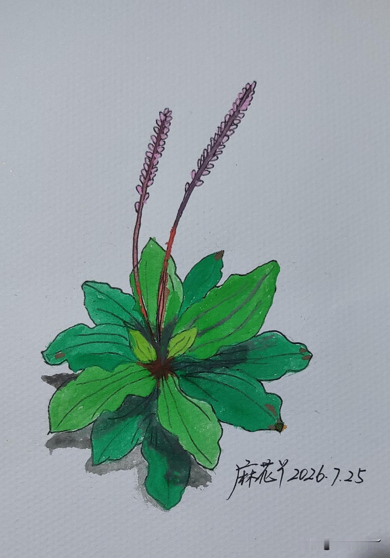 我大哥今年留在三亚过夏天了。
这是第一次留在三亚过夏天。
我问他怎么样，大哥说还