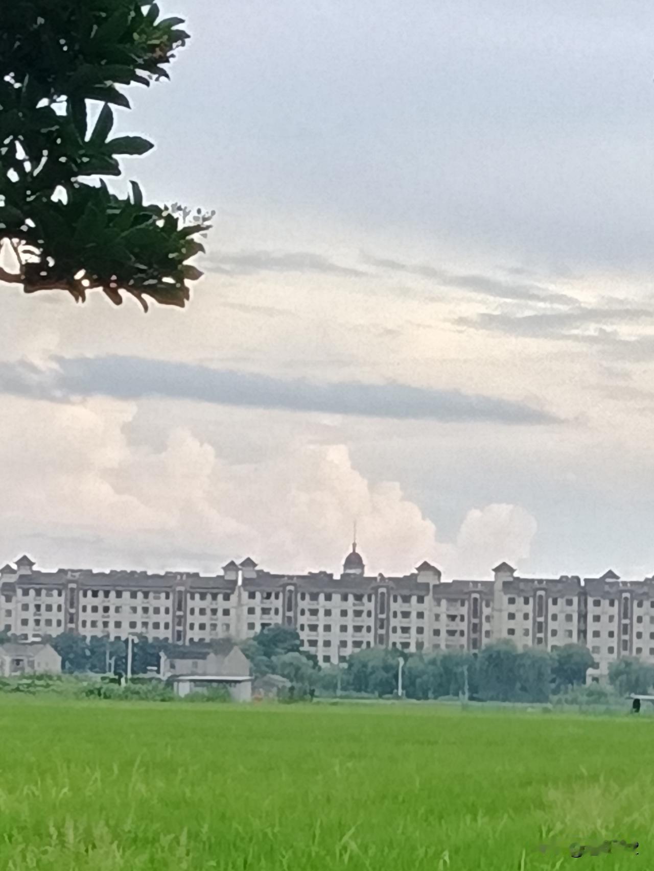 然而，人大为何会在短短几天内做出如此反差巨大的决定呢？从通告内容来看，称是发现了