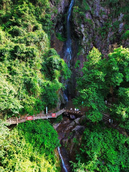 距衢州1小时的松瀑山是个巨大绿色能量场🌳
