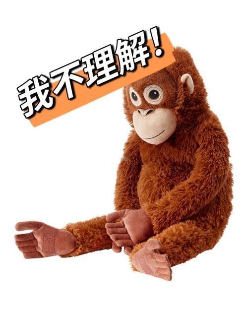 神奇的“不理解”？

         有一天晚上，与几位同事吃饭，酒过三巡，大