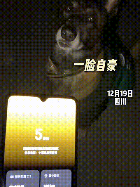 12月19日，四川，网友晒出地震前，狗狗跟主人叫唤，带主人跑出楼道的视频，狗狗真