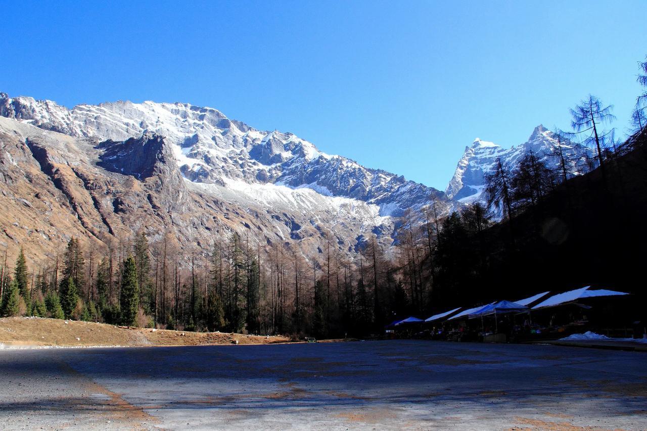 #秋日生活打卡季#


深秋双桥沟  20241024

林木秋叶已落尽，苍苍枝