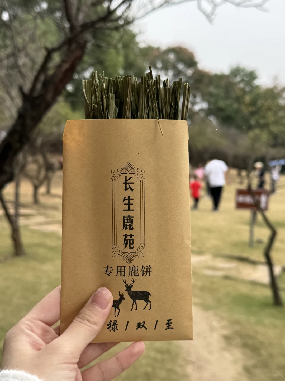 南京的奈良公园…..！！！小🦌真的太可爱了！！！！