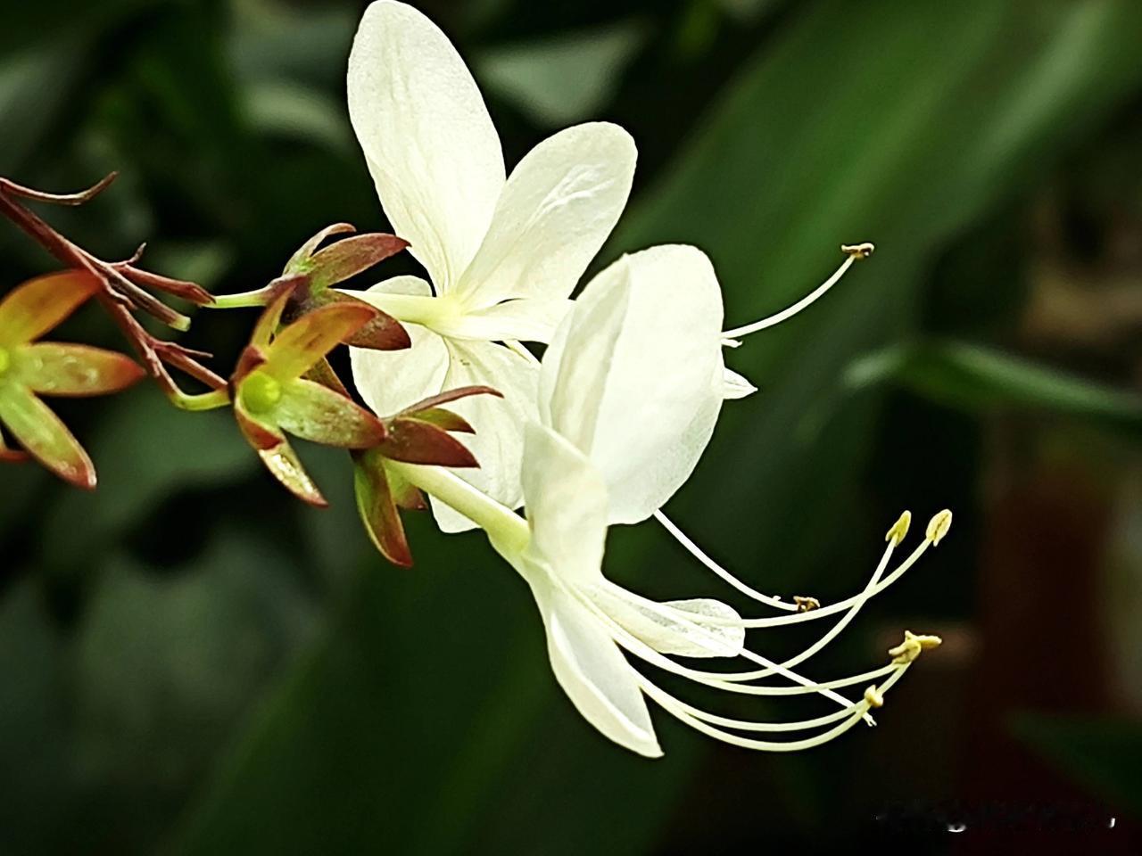 今年冬天的不同家庭背景决定你的上限，个人努力决定你的下限。出生是运气，我们无法选