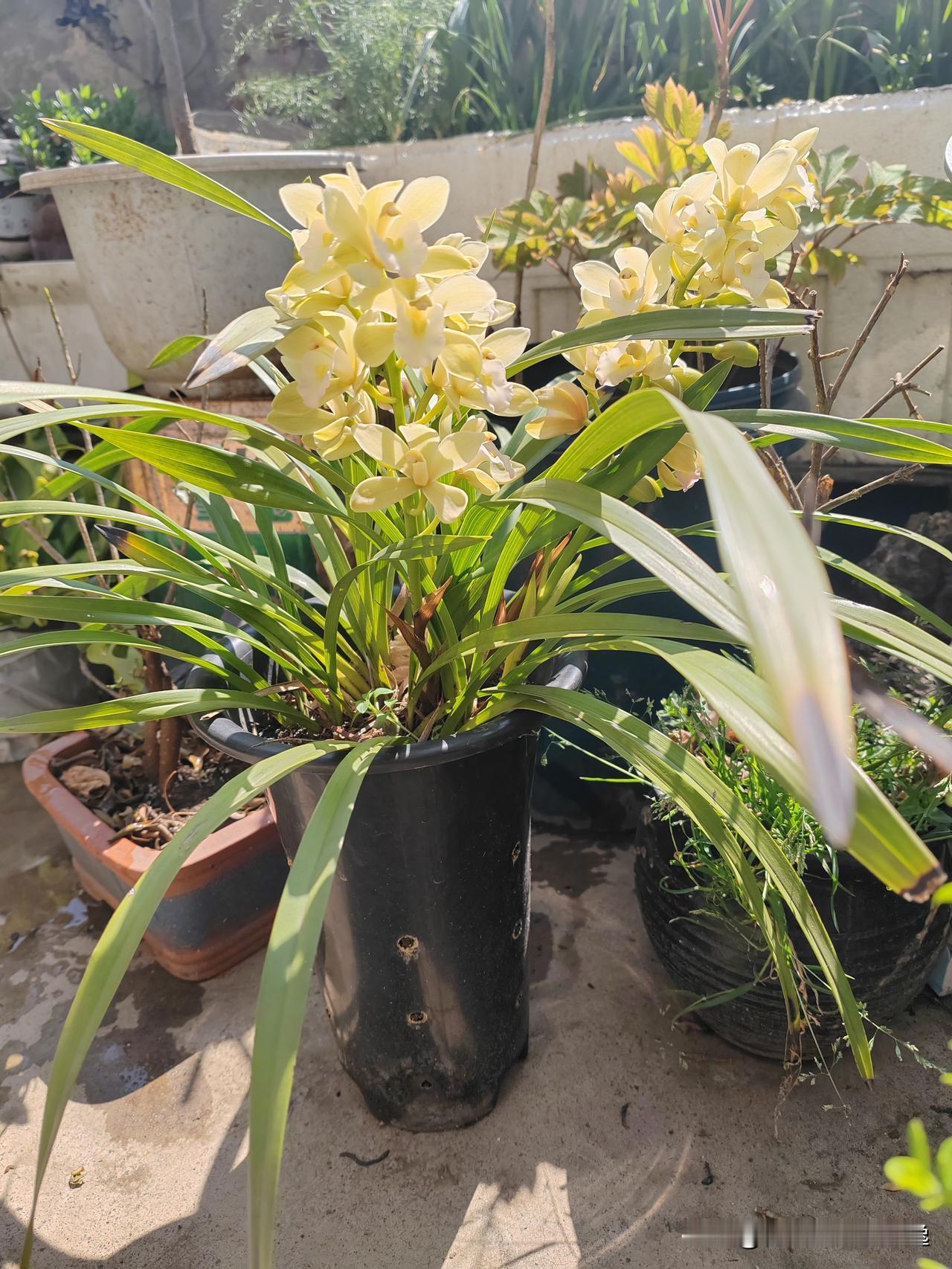 　　斋戒，我们戒掉了什么

图/文：鱼脊拓荒客

∽    莱麦丹的本义：酷热、