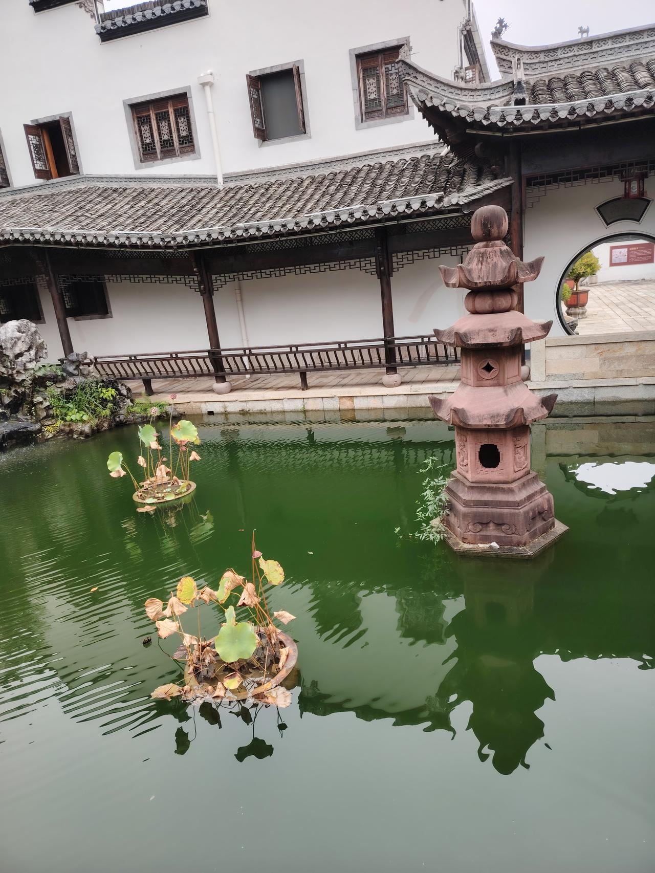 婚后男子严格要求AA制，妻子没钱看病都要打欠条！面对如此冰冷的账本婚姻，妻子坦言