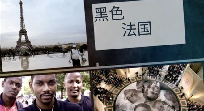 一个国家能蠢到什么程度？看看法国就明白了。现在法国黑人接近800万，占总人口15