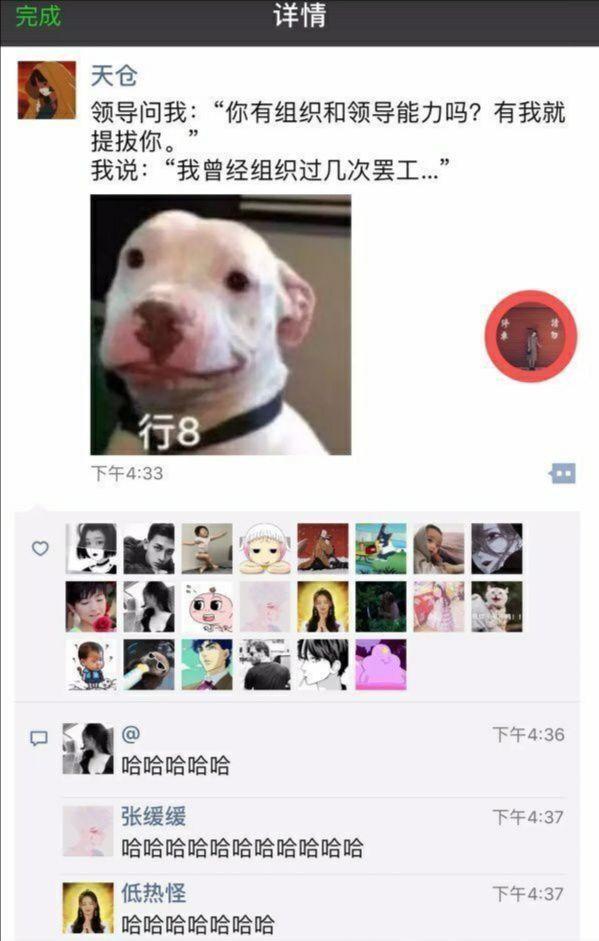 凭我的组织和领导能力，坐等领导提拔[点亮平安灯][点亮平安灯]