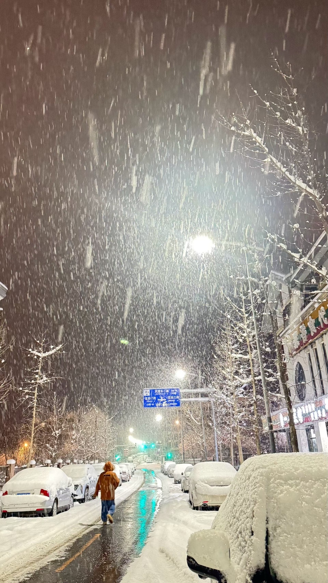 北京鹅毛大雪 上周来北京，我都没穿秋裤，没想到气温降得这么快。 
